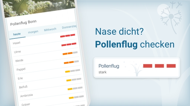 Nase dicht? Pollenflug checken