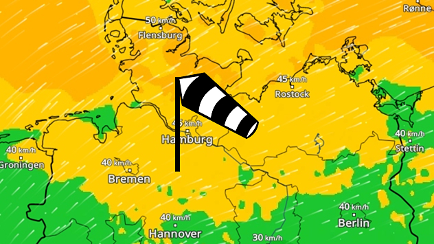 Karte mit kräftigem, ruppigem Wind um 40 bis 50 km/h über Norddeutschland, Schwerpunkt Küsten. Windfahne hebt das Windfeld hervor.