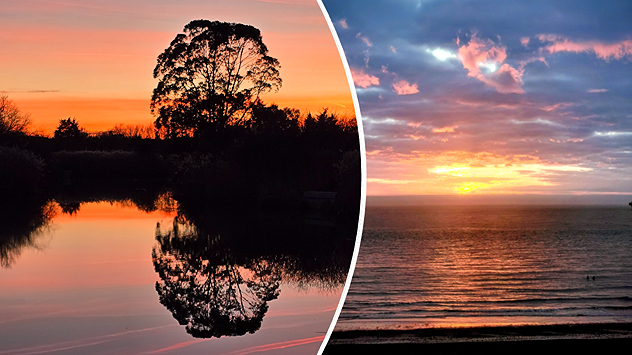 Split image showing a silhouetted tree reflected in calm water at sunset on the left, and a glowing ocean sunrise with pink and gold clouds over gentle waves on the right. Divided by a curved white line.