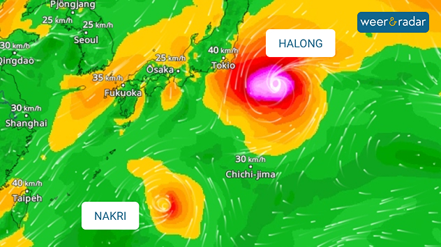 De WindRadar toont twee tropische stormen ten (zuid)oosten van Japan. Halong is de noordelijkste van de twee, Nakri de zuidelijkste.