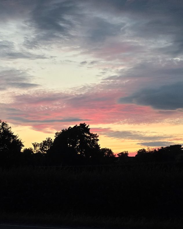 Pink and grey layered clouds glowing at sunset above silhouetted trees and fields, with warm golden light along the horizon creating a colourful evening sky.