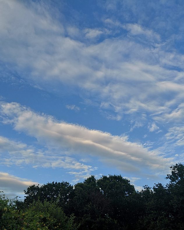 Blue sky filled with layered altocumulus clouds and wave-shaped cloud bands above a line of trees, with textured mid-level clouds and elongated formations creating a striking atmospheric pattern.