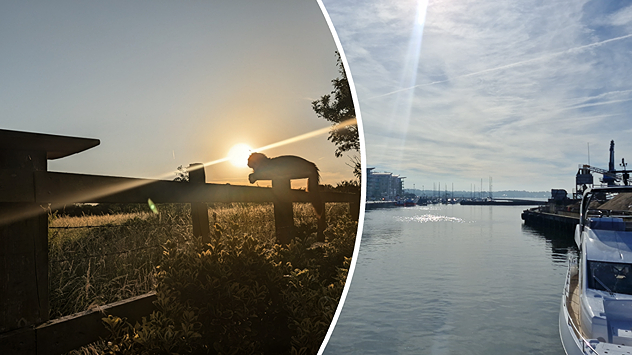 Split image showing a cat silhouetted on a fence at golden hour with the low sun behind it on the left, and a calm marina with boats, reflective water, and thin high clouds under bright sunshine on the right.