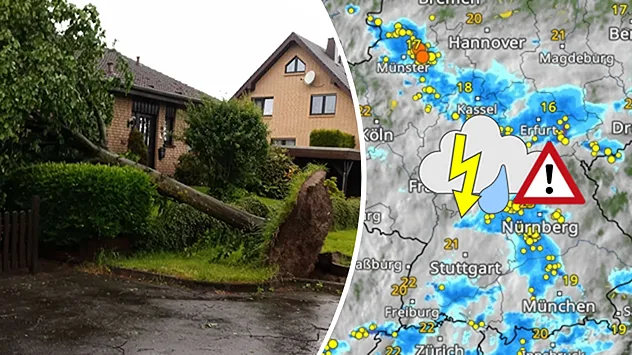 Links ein umgestürzter Baum, rechts das WetterRadar mit vielen Gewittern