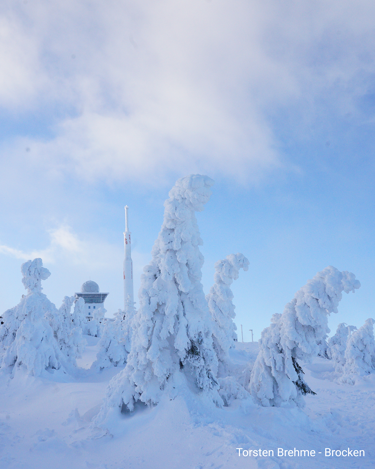 Vereiste Bäume und Anlagen auf dem Brocken