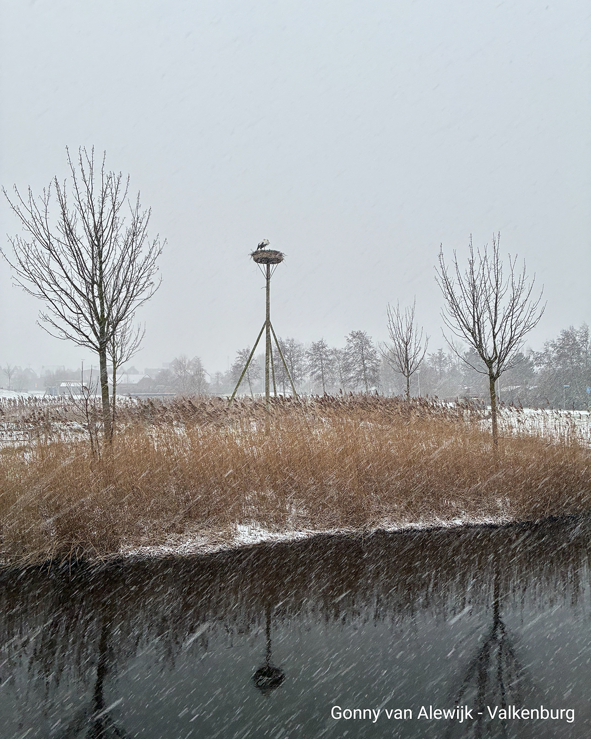 Schneebedeckte Landschaft mit Storchennest und Wasserfläche bei Schneefall