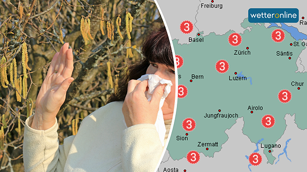 Geteilte Grafik: links eine Frau mit Taschentuch vor blühenden Haselkätzchen, rechts eine Pollenvorhersagekarte mit verbreitet starker Gesamtbelastung in der Schweiz.