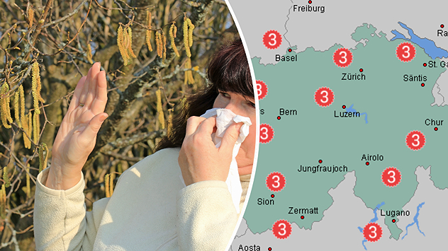 Geteilte Grafik: links eine Frau mit Taschentuch vor blühenden Haselkätzchen, rechts eine Pollenvorhersagekarte mit verbreitet starker Gesamtbelastung in der Schweiz.