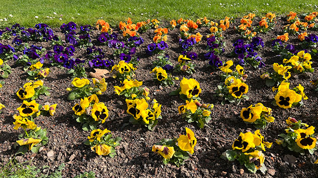 © WetterOnline Frühlingsbilder