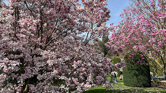 © WetterOnline Frühlingsbilder