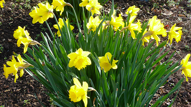 © Kathrin Wenzel Frühlingsbilder