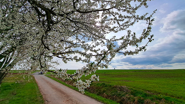 © Kathrin Wenzel Frühlingsbilder