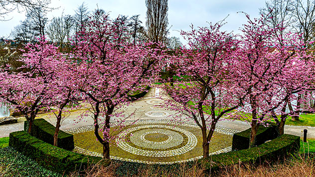 © Heinz-D. Fleck Frühlingsbilder