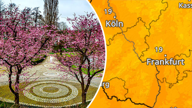 Fotostrecke die Natur blüht auf 