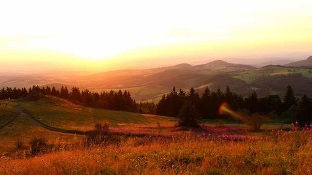 © Gloria Fritz Spätsommerlicher Blick über sattgrüne Felder und Wiesen in weichem Licht der untergehenden Sonne