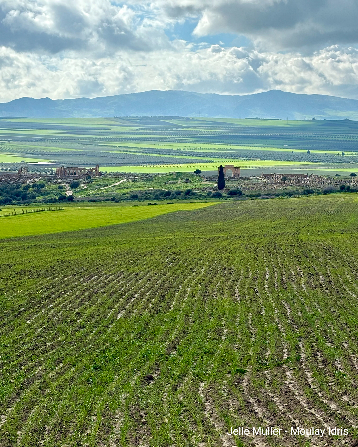 Felder mit Reihenpflanzen, dahinter Ruinen und Berge unter wolkigem Himmel.