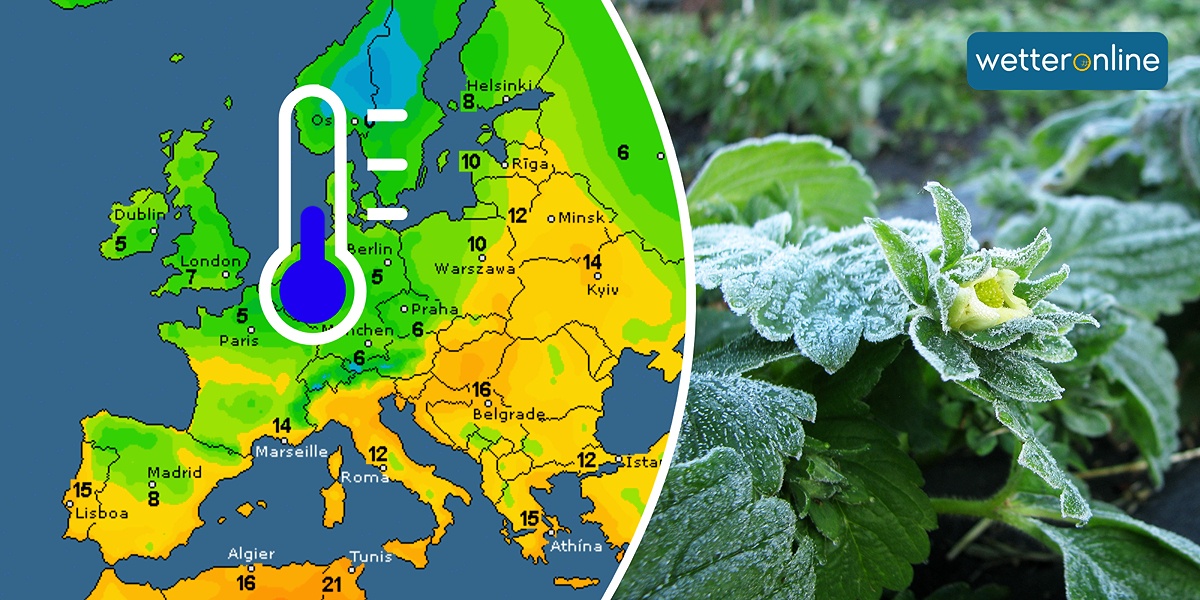 Eisheilige 2026: Kälte droht trotz milder Prognosen — image 2