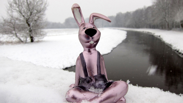 © Carmen Sykes Osterhase im Schnee