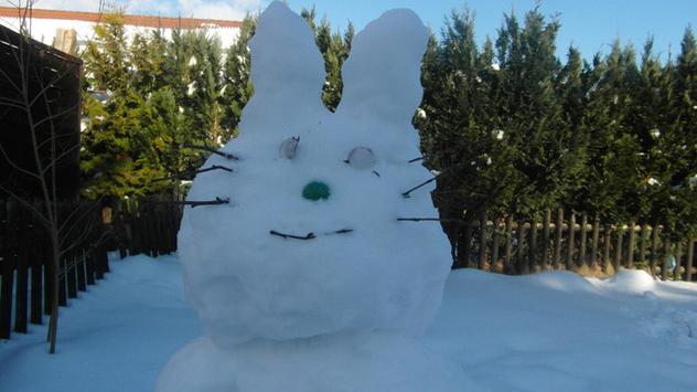 © Niklas Meyer Osterhase im Schnee