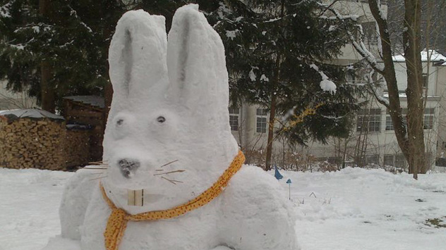 © Andreas Schröter Osterhase im Schnee