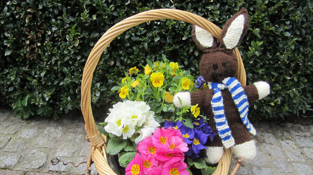 © Franzi Reiff Osterhase im Schnee