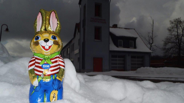 © Torsten Brehme Osterhase im Schnee