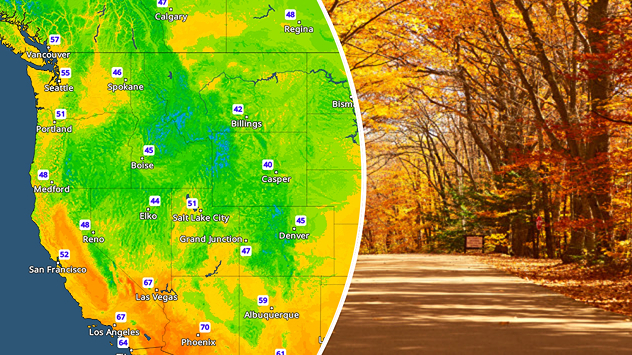 Cool nights can help intensify autumn foliage color!