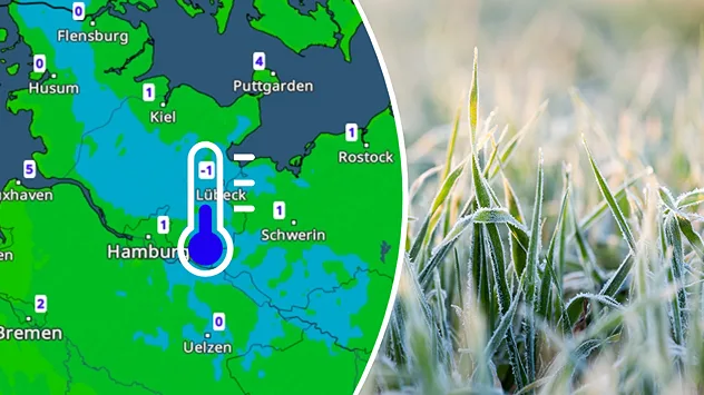 Kombination aus Karte, auf der Frostgrade zu sehen sin, und Raureif auf Grashalmen bei Minusgraden.