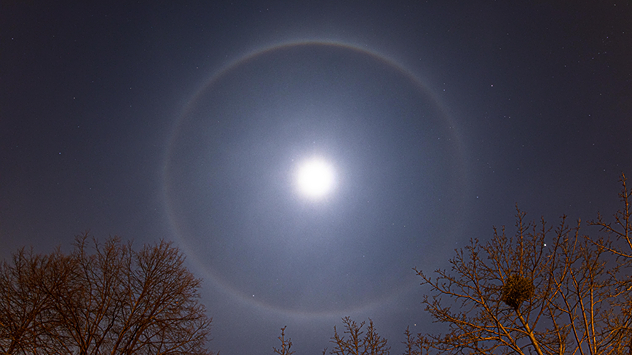 © Sylvio Müller Mondhalo über Dresden