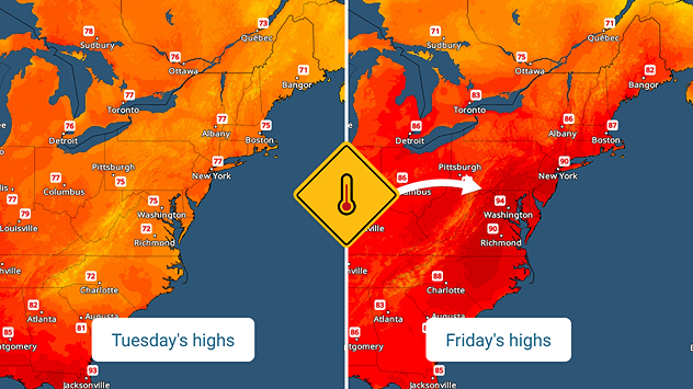 Highs this week