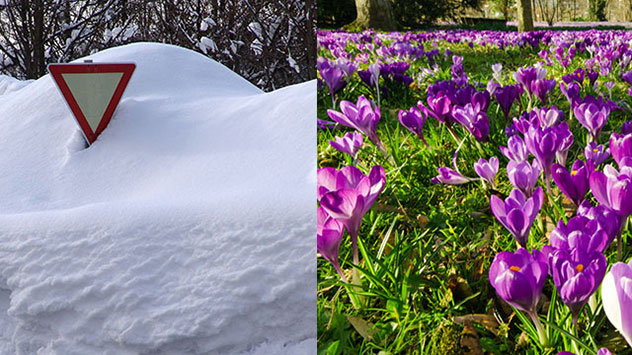 Was ist im Februar möglich: Schneemassen - Krokusse