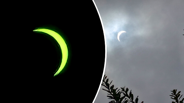 Split image showing a bright green crescent Sun through a solar filter on the left and the same partial solar eclipse visible through gray cloud above silhouetted leaves on the right.