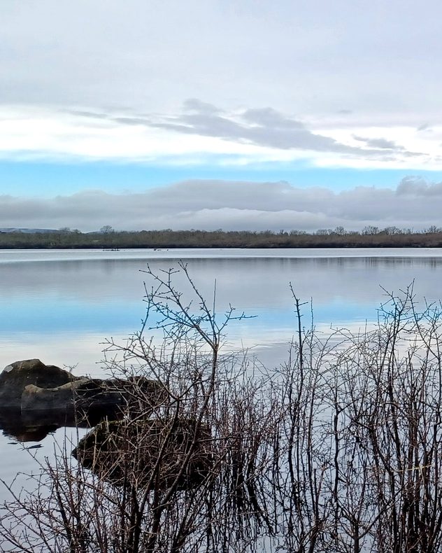 Still lake reflecting a pale winter sky with layered clouds, bare shrubs and rocks in the foreground, and a low tree line along the far shore.