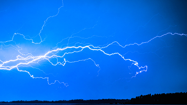Heller, verzweigter Blitz vor dunkelblauem Himmel mit schwarzer Waldlinie am Horizont – typische Gewitterszene bei Nacht.