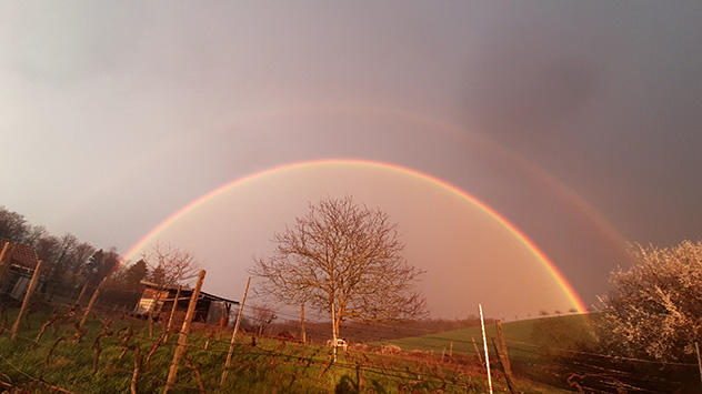 © Karin Hassfeld Regenbogen
