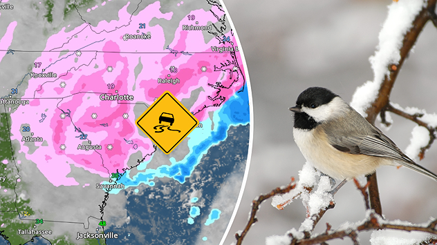 nieve del sureste durante el fin de semana