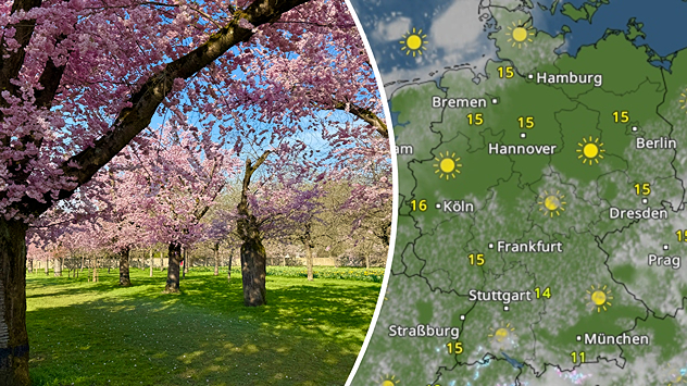 Links: Kirschblüte im Schlossgarten Schwetzingen. Rechts: Das WetterRadar für Montag.
