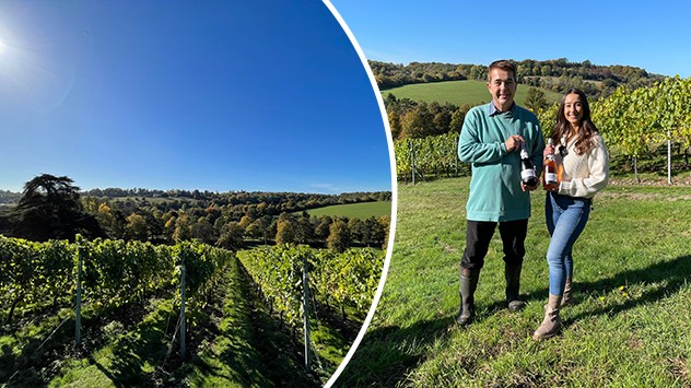 Split image of a vineyard on the left. Weather & Radar reporter stands with vineyard owner on the right holding bottles of wine.