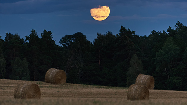 1ef4918e-2bd7-6164-ae3f-4596bfea6649 Heumond