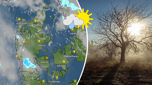 Vejrkort fra Vejr & Radar viser solrigt og tørt vejr over Danmark med temperaturer mellem 12 og 15 grader. Til højre ses et efterårsbillede med lav morgensol, rim på græsset og et nøgent træ i modlys.