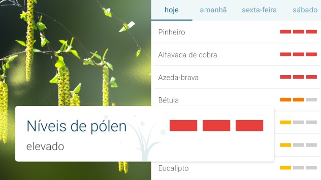  Verifique os níveis de pólen antes de planejar seus passeios