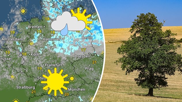 Sonne im Süden und einzelne Schauer im Norden neben einem Bild von einem trockenen Feld mit Baum