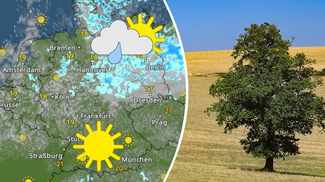 Sonne im Süden und einzelne Schauer im Norden neben einem Bild von einem trockenen Feld mit Baum