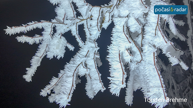 Záběr silné námrazy na drobných větvičkách. V únoru roku 1929 svíraly tehdejší Československo extrémní mrazy.