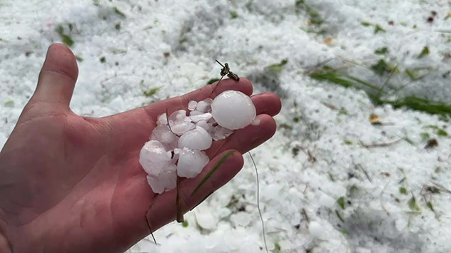 Hand mit großen Hagelkörnern vor hagelbedecktem Boden.