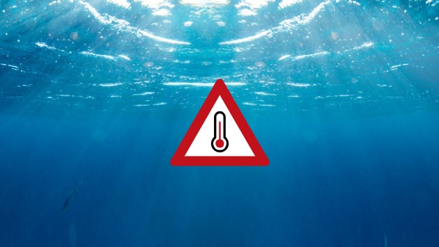 Die durchschnittliche Wassertemperatur unserer Ozeane ist für Anfang Februar sehr hoch.