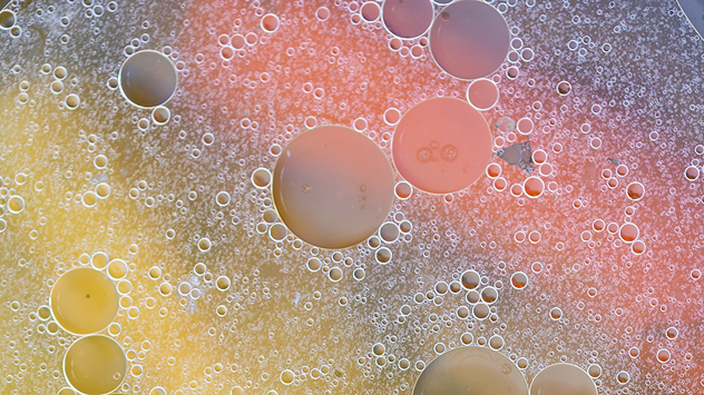 Viele kleine und große Öltröpfchen schwimmen in Suppenbrühe vor einem bunten Hintergrund aus Gelb, Orange und Rosa – abstrakte Makroaufnahme.