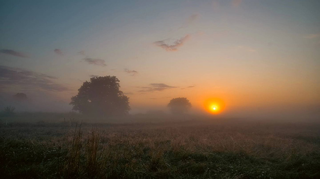Sonnenaufgang im Nebel auf Fischland-Darß-Zingst