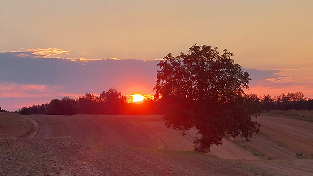 Gleißendes Licht durch untergehende Sonne