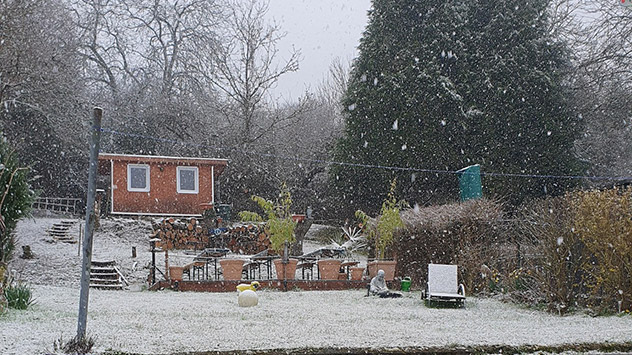 © Michael Persch Bei Temperaturen knapp über dem Gefrierpunkt verkleben die Schneekristalle zu großen Flocken.